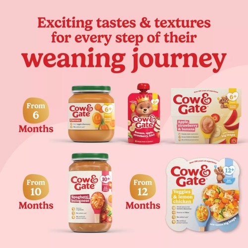 Cow & Gate Apple Orange & Acerola Baby Food Fruit Pot 6+ Months