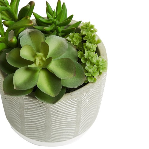 M&S Artificial Succulent Garden, Green - Ocado