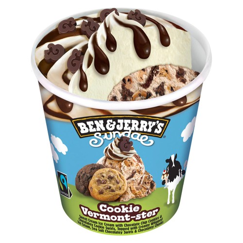 Ben & Jerry's Sundae Cookie Vermonster Ice Cream Tub Dessert