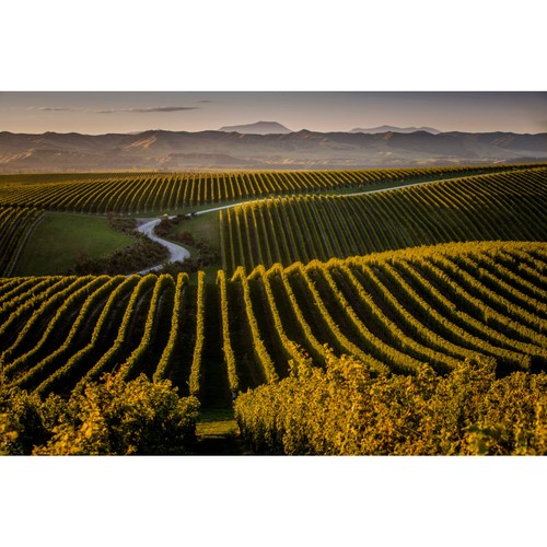 Yealands Marlborough Sauvignon Blanc