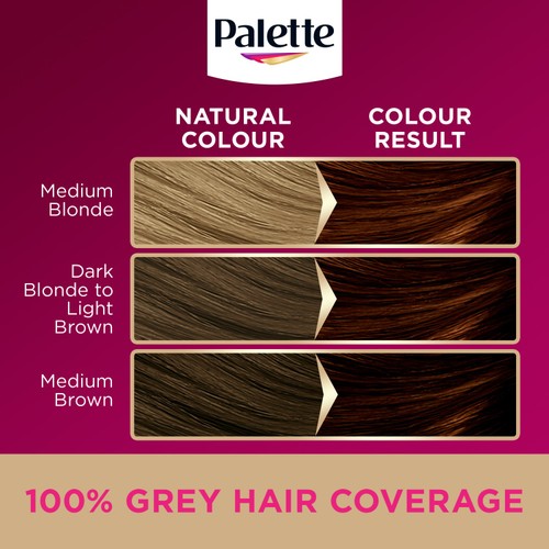 Palette DLX 5-68 Golden Chestnut
