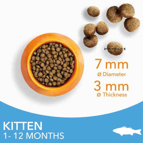 IAMS 1-12 Months Kitten Dry Cat Food Ocean Fish