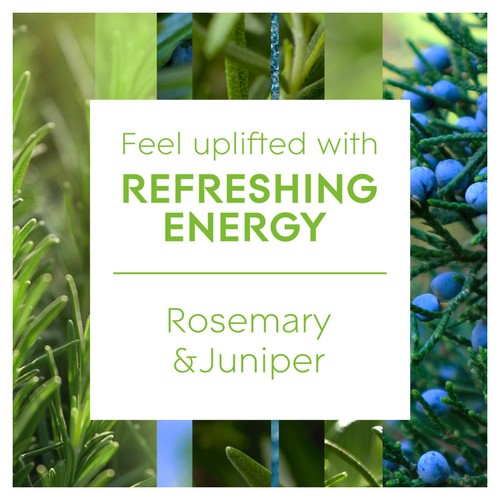 Glade Aromatherapy Reed Diffuser Refreshing Energy