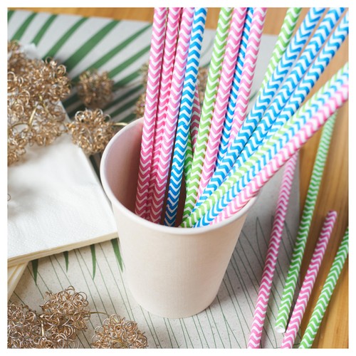 Party Recyclable Paper Straws