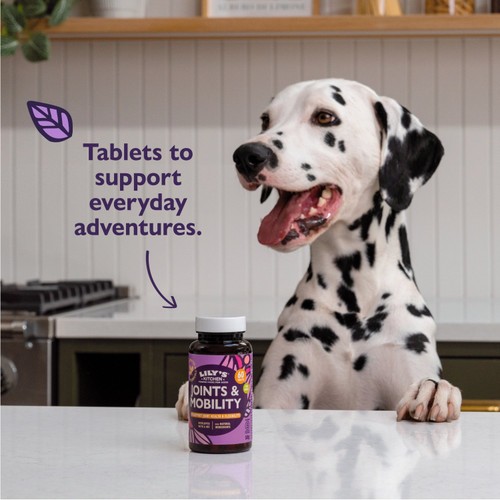 Lily's Kitchen Joints & Mobility Supplement for Dogs