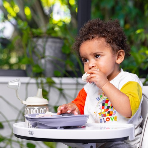 Vital Baby Nourish Power Suction Plate - natural berry