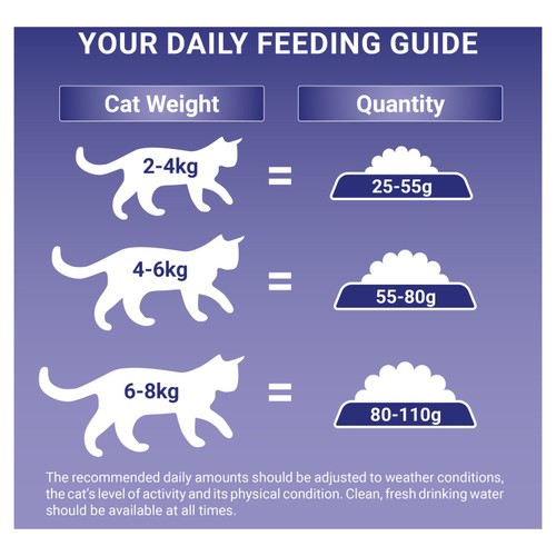 Purina One Indoor Turkey Dry Cat Food