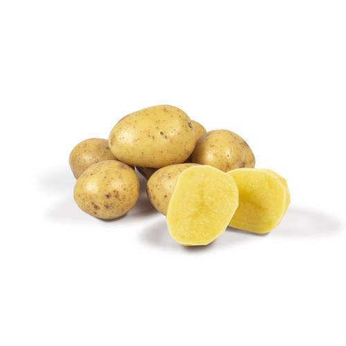 Harry & Percy Organic White Potatoes