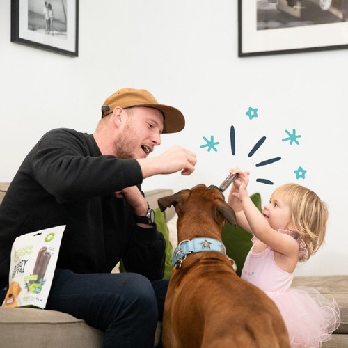 Edgard & Cooper Apple & Eucalyptus Large Dog Dental Sticks