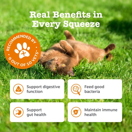 Zesty Paws Digestive Care Paste For Cats