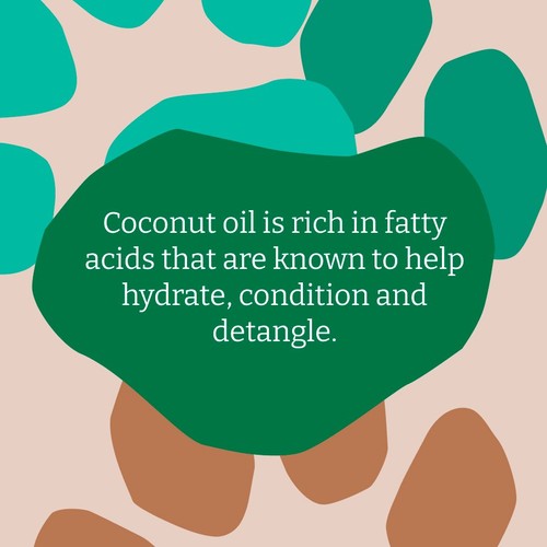 Faith In Nature Dog Care Shampoo Coconut 