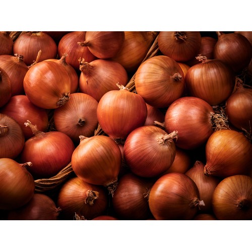 M&S Brown Cooking Onions