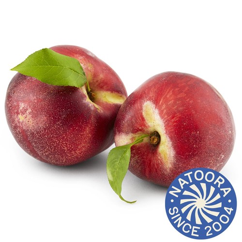 Natoora White Nectarines