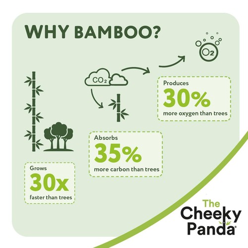 Cheeky Panda Natural Bamboo Pocket Tissue 