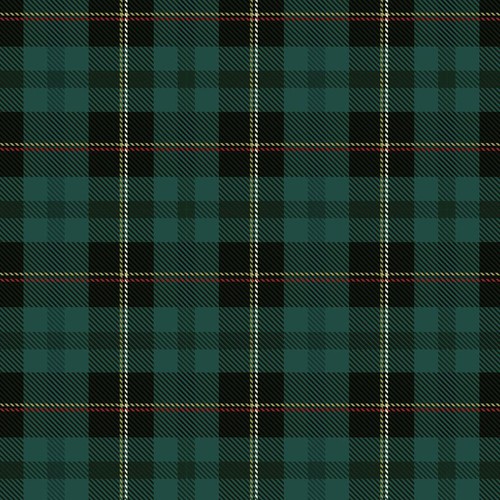 Tartan Christmas Bottle Bag