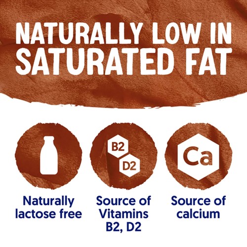 Alpro Chocolate Soya Long Life Dairy Free Drink