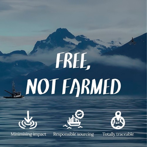 LEAP MSC Sockeye Salmon Fillets 