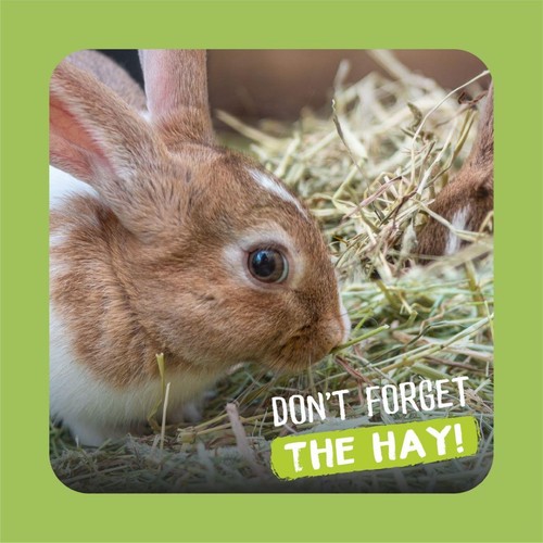 Burgess Excel Long Stem Feeding Hay