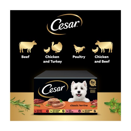Cesar Classics Terrine Dog Food Trays Mixed in Loaf 