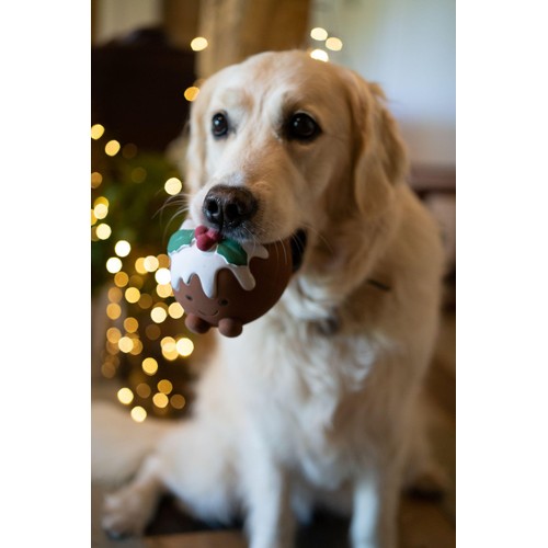 Petface Chrissie Christmas Pudding Latex Dog Toy