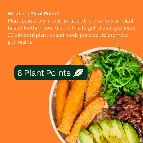 all plants Veggie Tempeh Golden Lentils