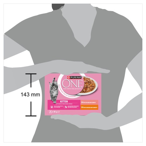 PURINA ONE Kitten Mini Fillets Salmon and Chicken Wet Cat Food