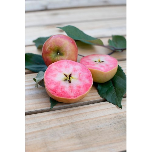 Kissabel British Apples