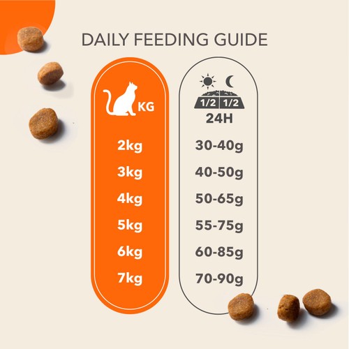 IAMS Senior 11+ Dry Cat Food Chicken