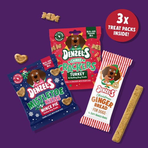 Denzel's Gingerbread House Gift Box for Dogs