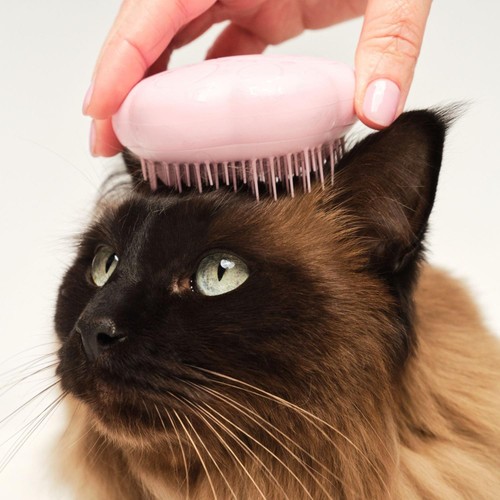 Pet Teezer Cat Brush Pink