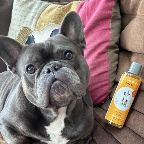 WildWash 2-in-1 Charity Dog Shampoo & Conditioner