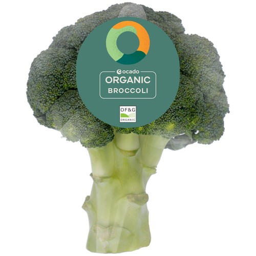 Ocado Organic Broccoli