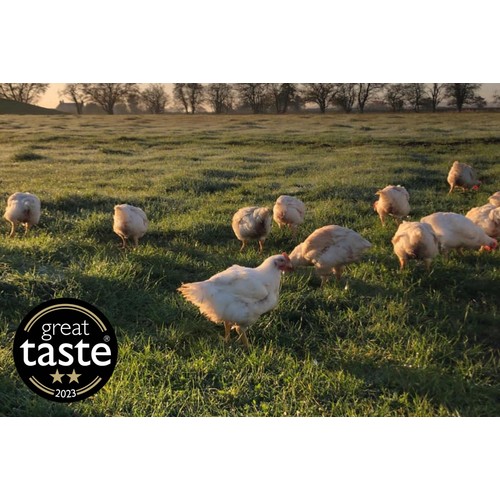 Packington Free Range Cockerel