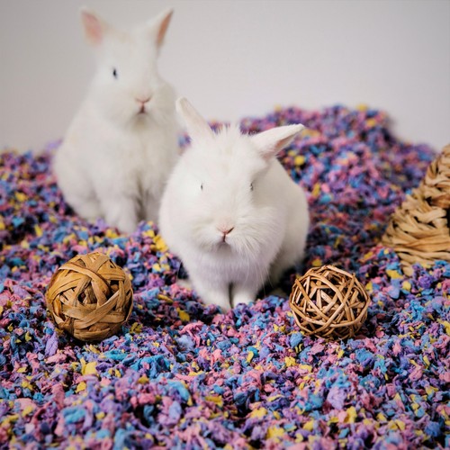 Carefresh Colours Confetti Small Pet Bedding