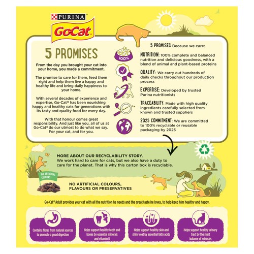 Go-Cat Chicken and Duck Dry Cat Food