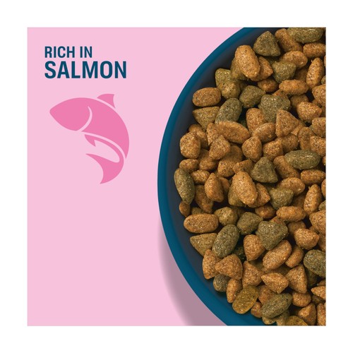 Perfect Fit Advanced Nutrition Adult Complete Dry Cat Food Salmon 