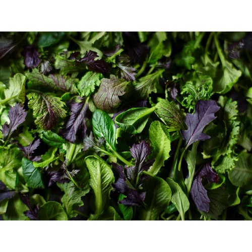 M&S Collection Spicy Baby Leaves