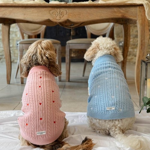 Cocopup Blue Heartstrings Jumper for Dog - M