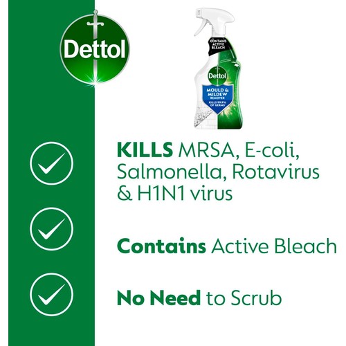 Dettol Mould & Mildew