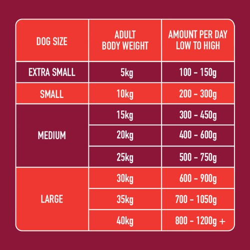 Nutriment Beef Formula Raw Dog Food