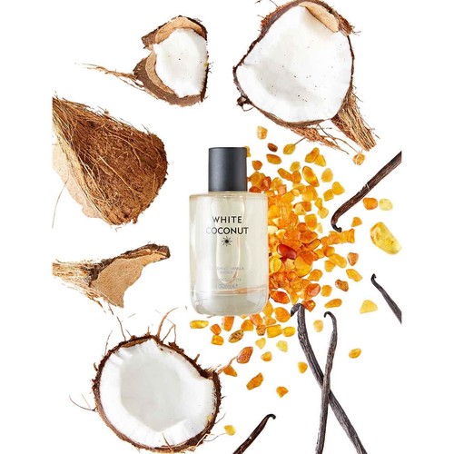 M&S Womens Discover White Coconut Eau de Toilette 30ml
