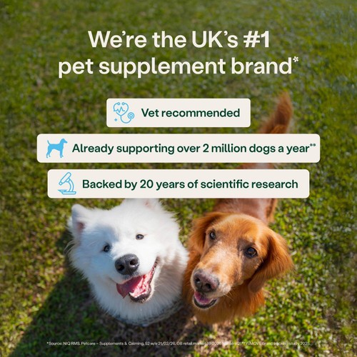 YuMOVE Skin & Coat Support for Itching Dogs