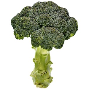 Merry Broccoli