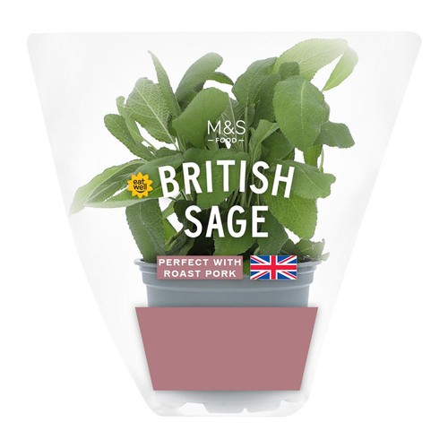 M&S British Sage Pot