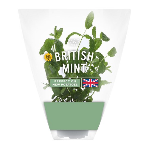 M&S British Mint Pot