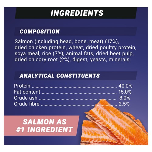 Purina One High Protein Salmon Dry Cat Food