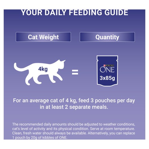 Purina One Mini Fillets Chicken & Beef Wet Cat Food
