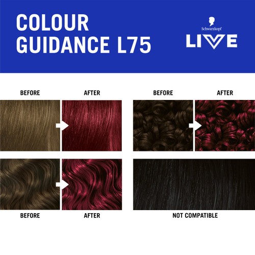 LIVE Intense Colour L75 Deep Red