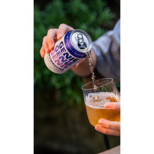 GENIE Kombucha, Blueberry & Raspberry
