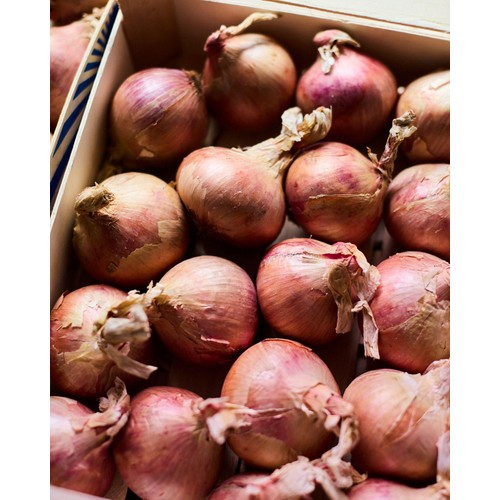 Natoora Pink Onions from Brittany